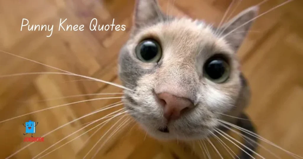 Punny Knee Quotes