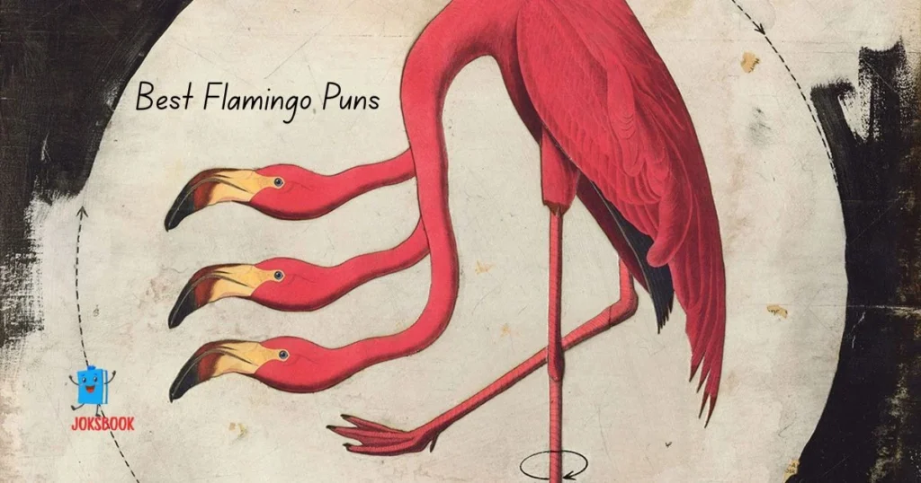 Best Flamingo Puns