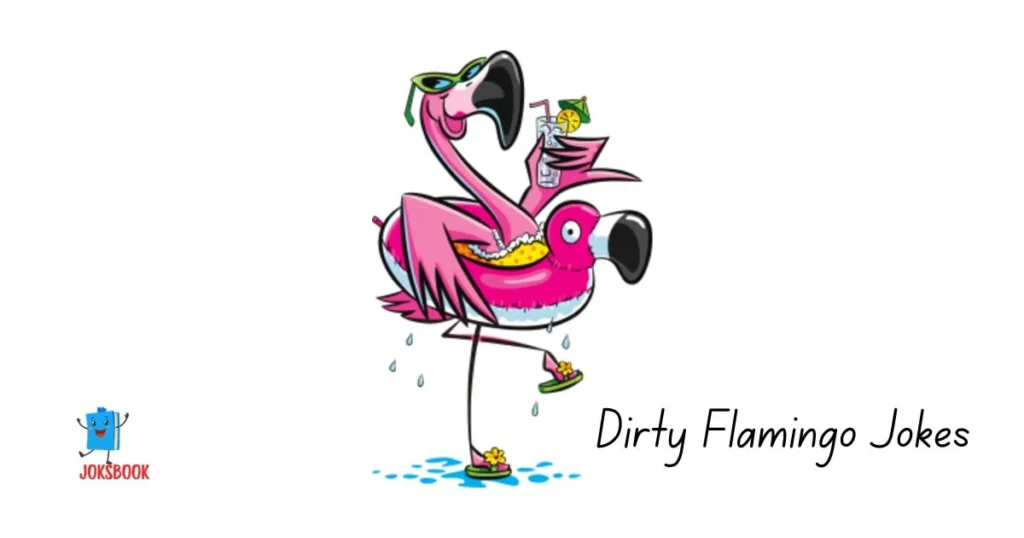 Dirty Flamingo Jokes