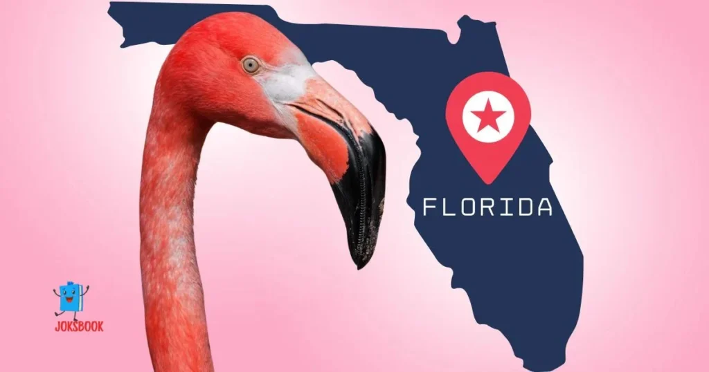 Flamingo Puns For Tourists