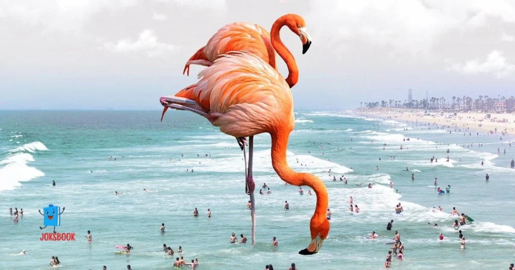 Flamingo Puns That Will