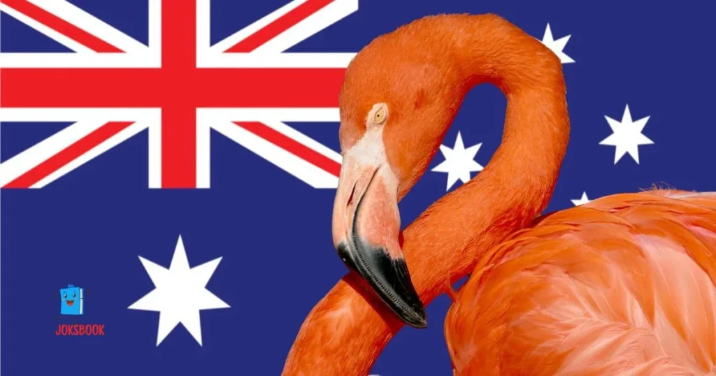 Tropical Flamingo Humor