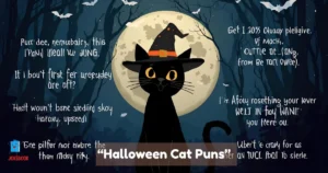 Halloween Cat Puns