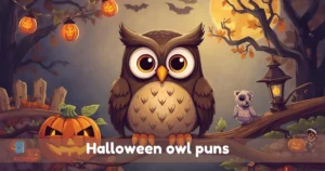Halloween owl puns