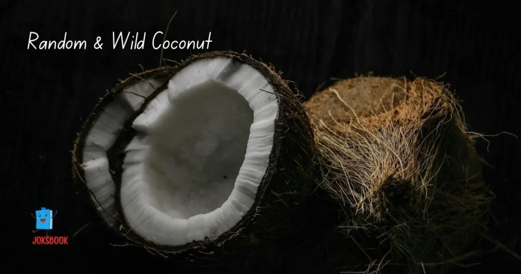 Random And Wild Coconut