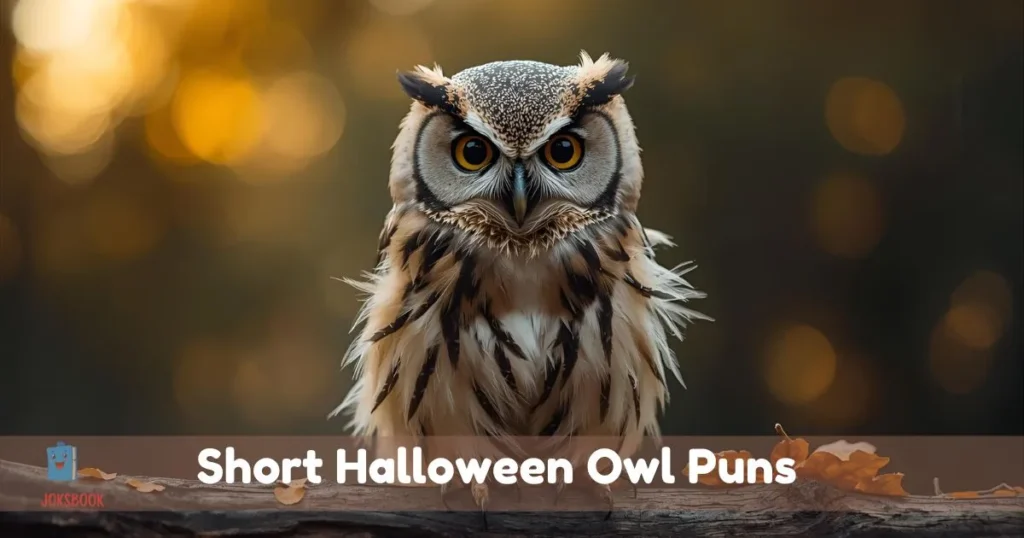 Short Halloween Owl Puns