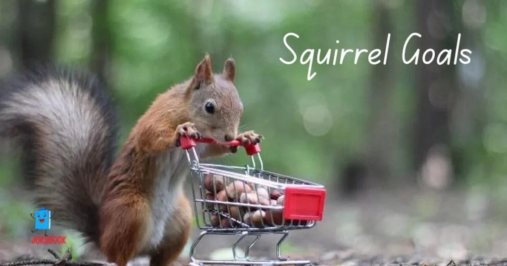Squirrel Goals
