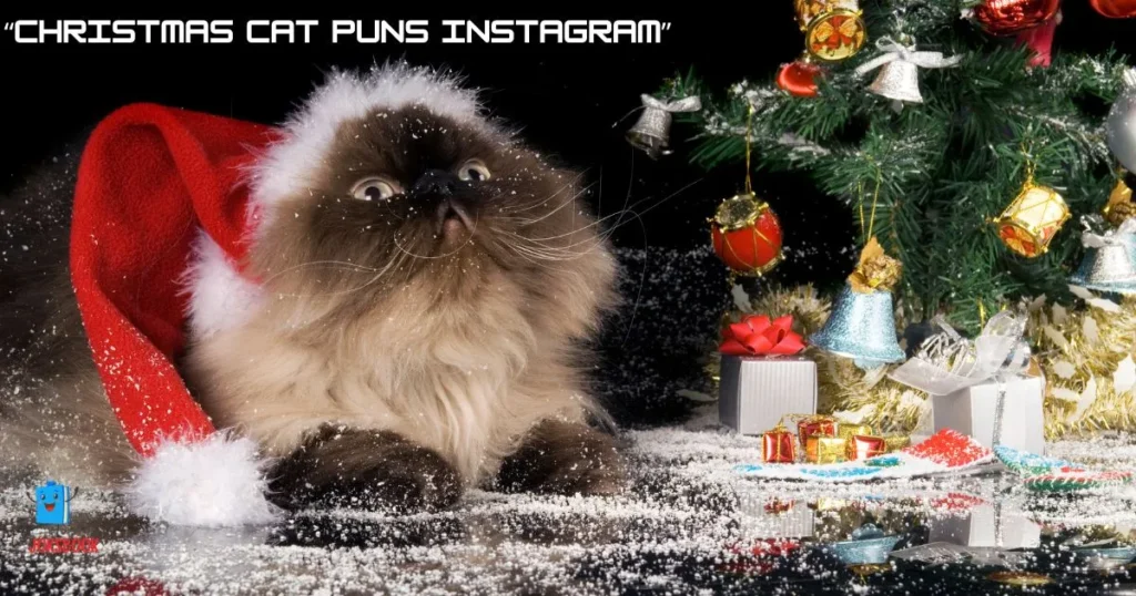 Christmas Cat Puns Instagram