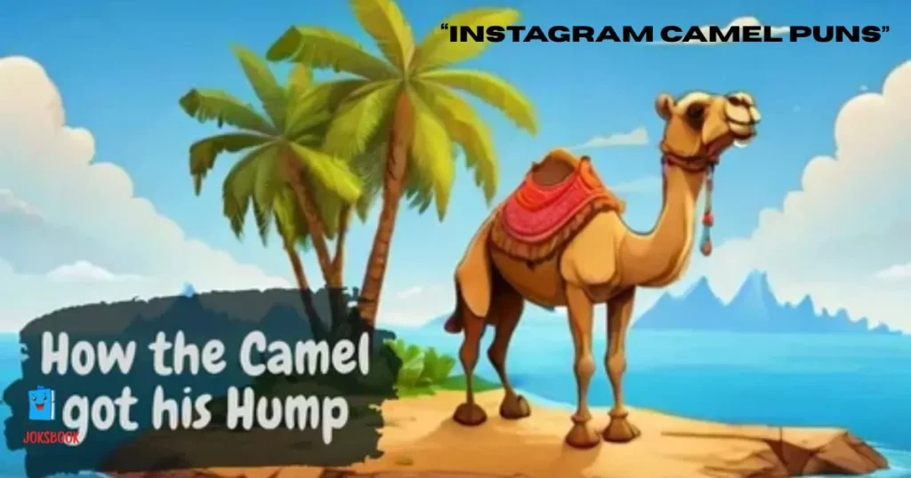 Instagram Camel Puns