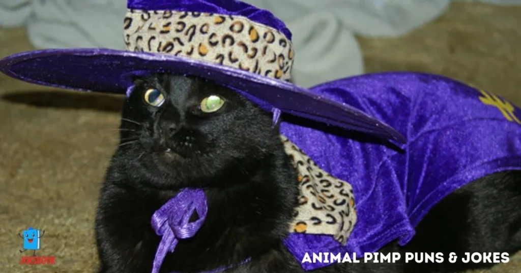Animal Pimp Puns And Jokes