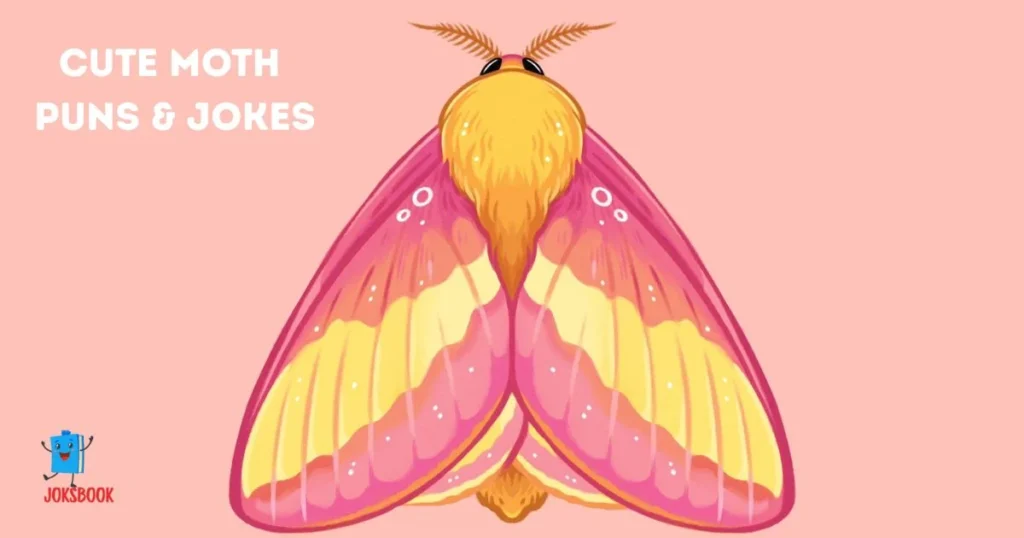 Cute Moth Puns And Jokes