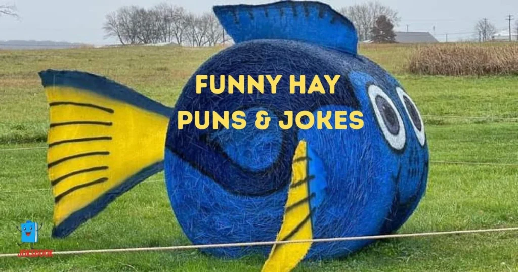 Funny Hay Puns And Jokes