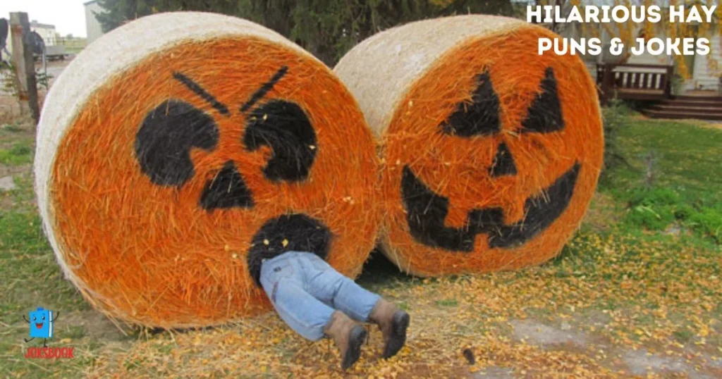 Hilarious Hay Puns And Jokes