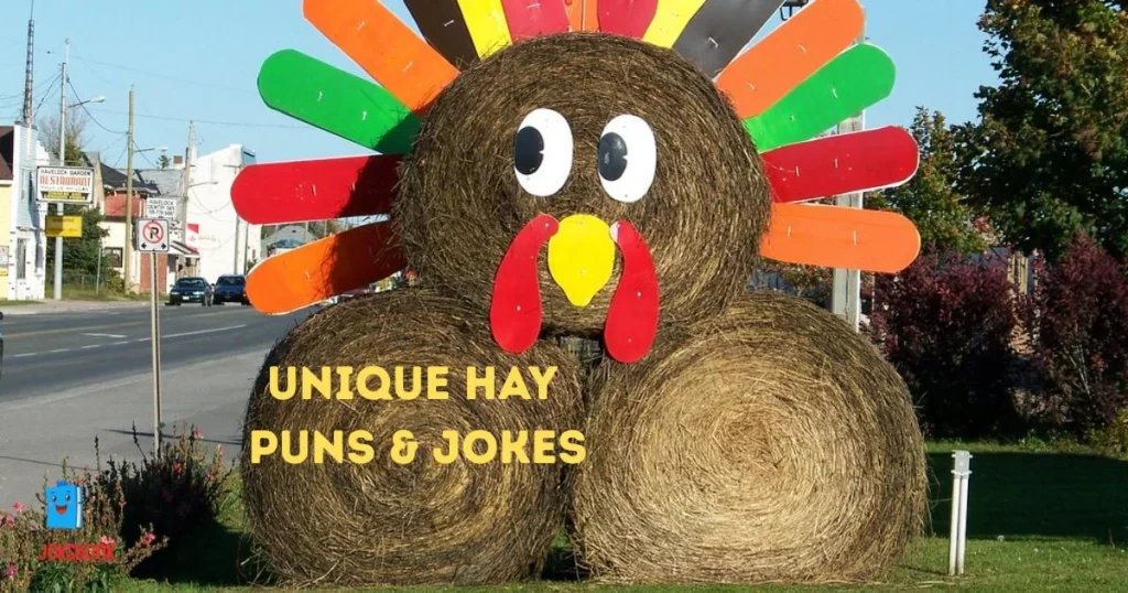 Unique Hay Puns And Jokes