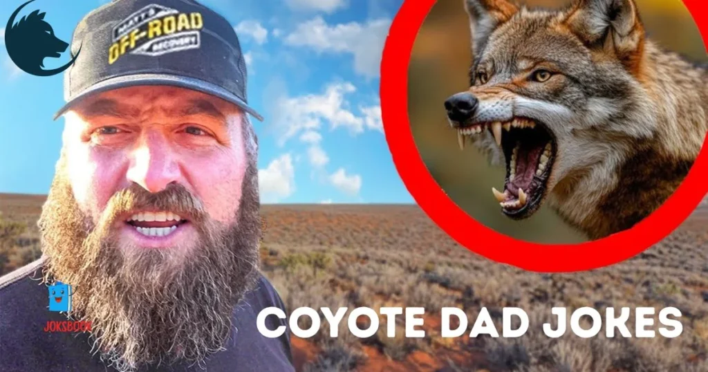 Coyote Dad Jokes