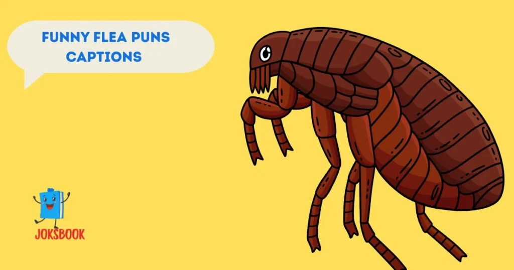 Funny Flea Puns Captions