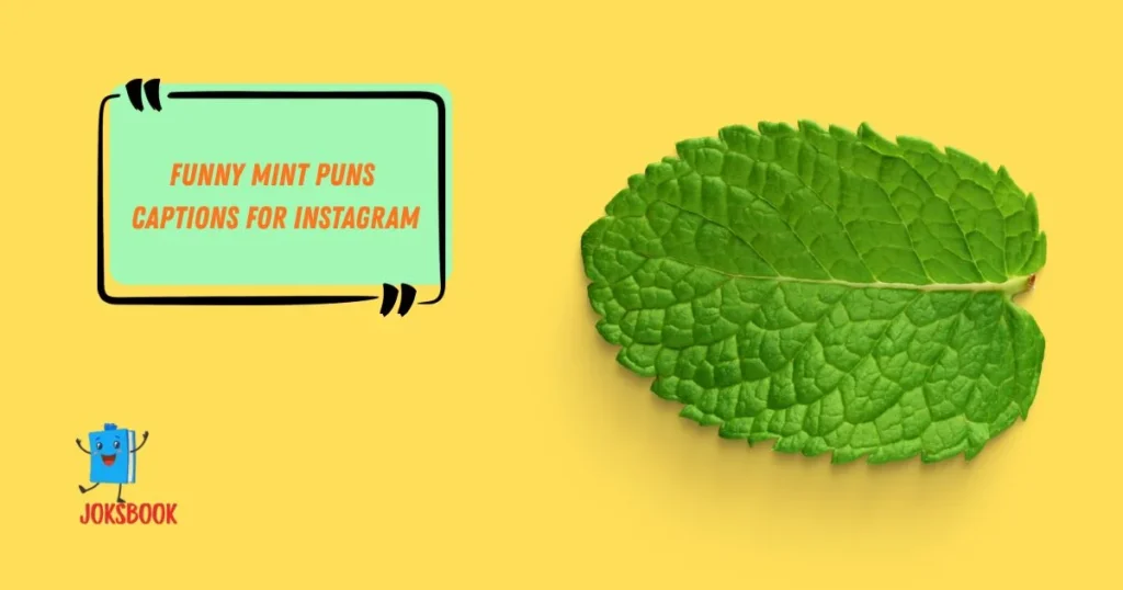 Funny Mint Puns Captions For Instagram