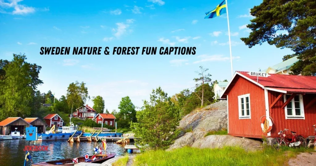 Sweden Nature And Forest Fun Captions